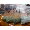 瓶片回收造粒機(jī)_瓶片回收造粒機(jī)