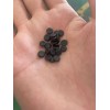 低煙無(wú)鹵造粒設(shè)備_JDL_低煙無(wú)鹵造粒設(shè)備